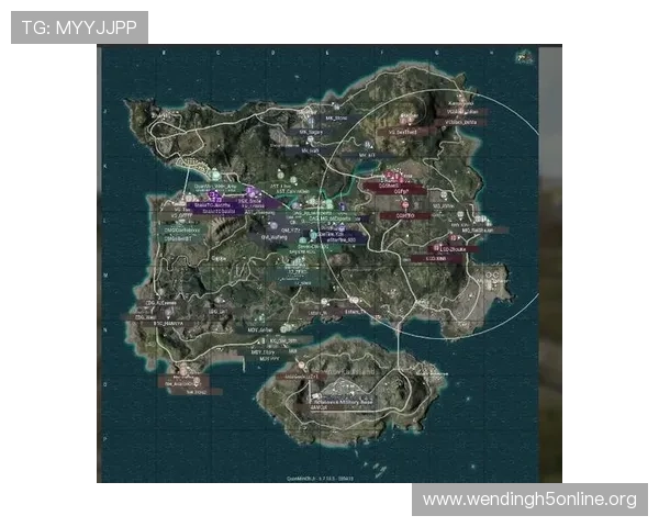 问鼎国际入口的优势有哪些，为什么越来越多玩家选择通过它进入国际游戏市场